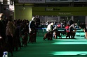 Crufts2011 021